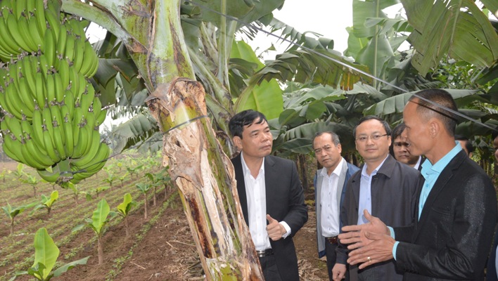 Mở rộng hạn điền giúp nông nghiệp 'cất cánh' ảnh 1